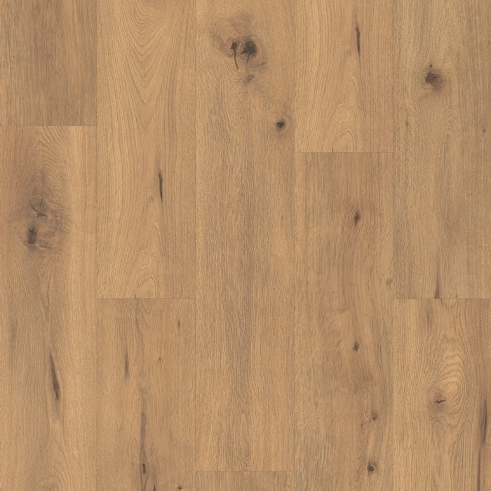 Multifunkční podlaha MULTIFLOR AquaRes MA 76200 V Dub Wild přírodní